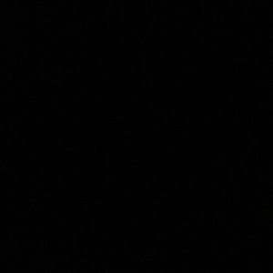 Meet your Posher, Timothy